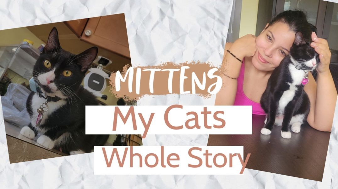 ⁣Mittens My Cats Whole Story