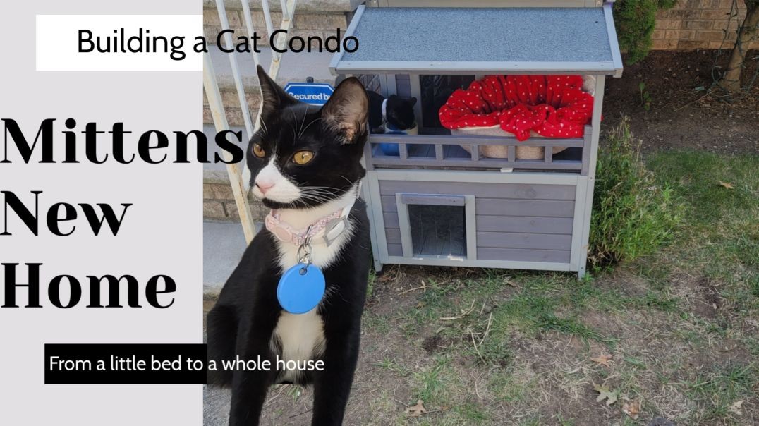 ⁣Building A Cat Condo For Mittens